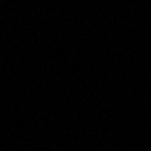 Meet your Posher, Larry